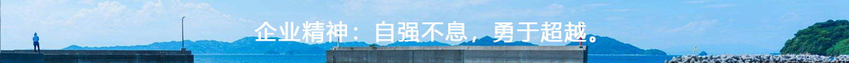 安徽水利建筑,安徽瑞豐工程科技集團(tuán)有限公司